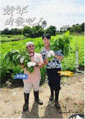 一起去露营 生活综艺